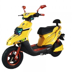 800W elektrikli motosiklet Scooter